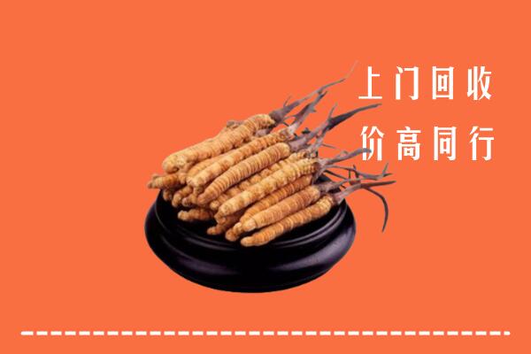 上饶弋阳县回收散虫草