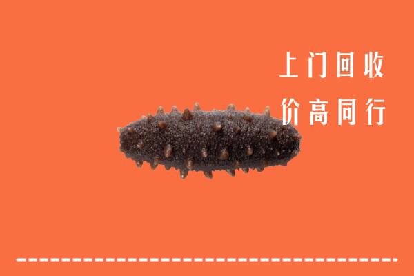 上饶弋阳县回收海参
