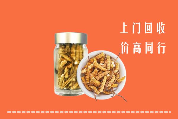 上饶弋阳县回收冬虫夏草